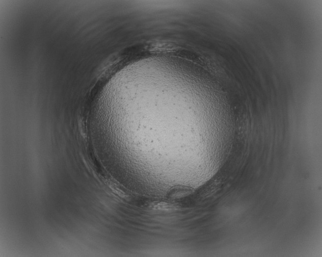 X0000067480755200604211633