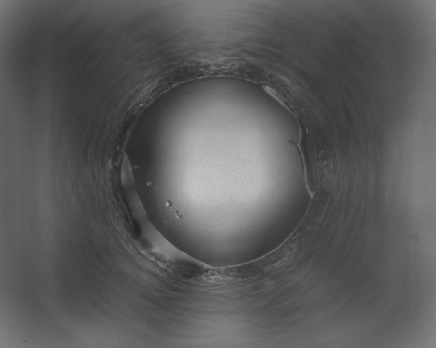 X0000067480756200604211633