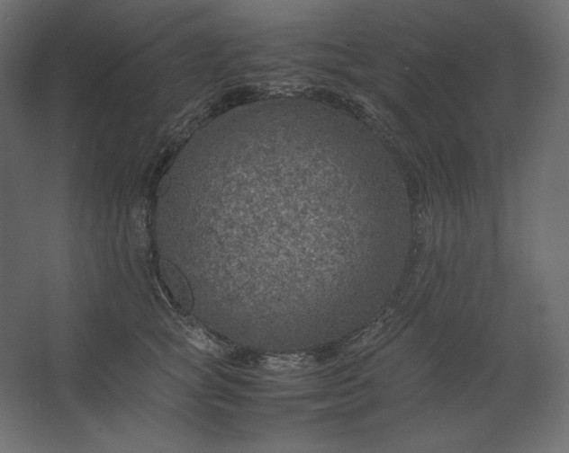 X0000067480757200604211633