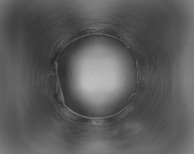 X0000067480758200604211633