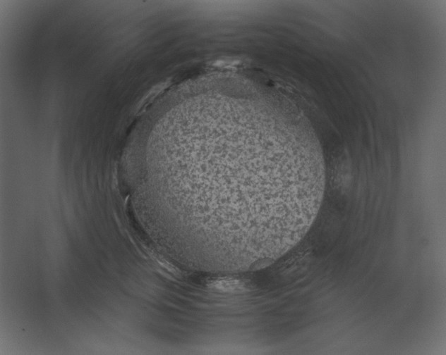 X0000067480759200604211633