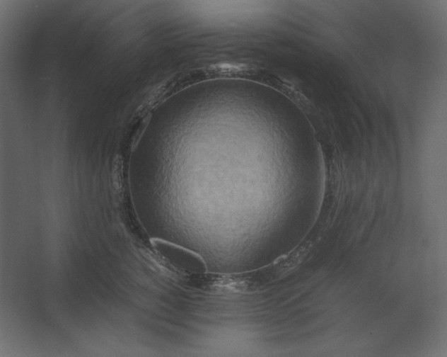 X0000067480760200604211633