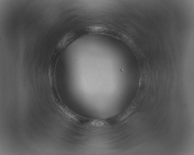 X0000067480762200604211633