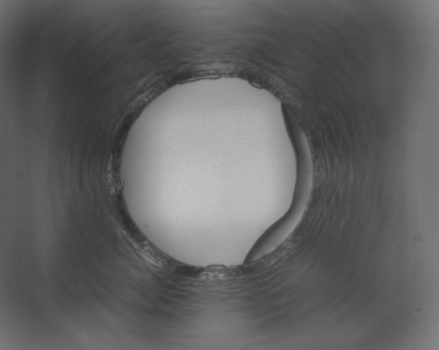 X0000067480764200604211633