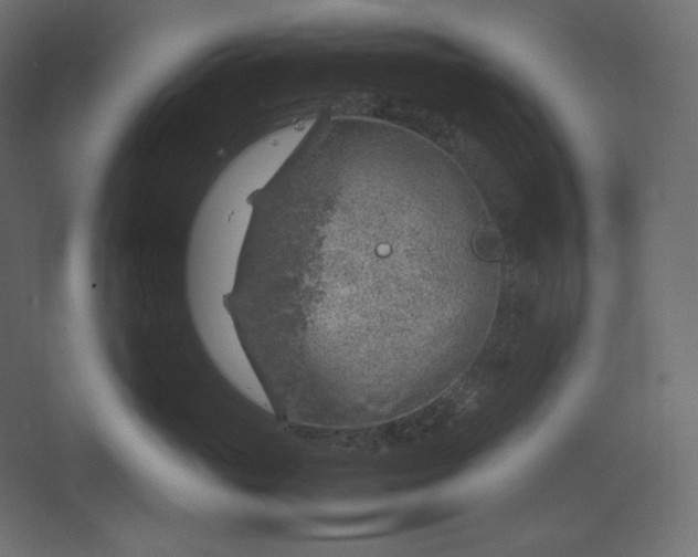 X0000067480765200604211633