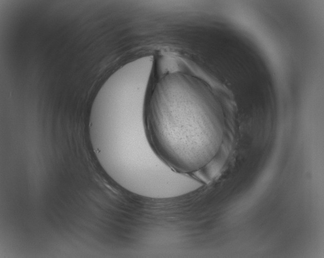 X0000067480766200604211633