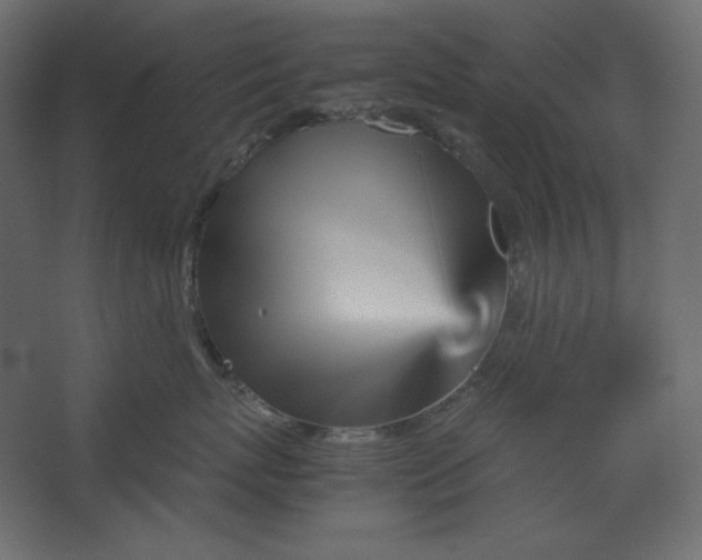 X0000067480767200604211633