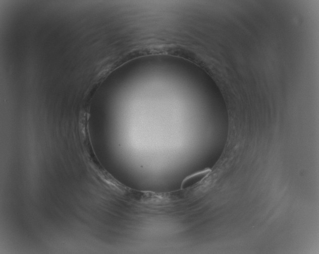 X0000067480768200604211633