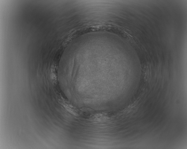 X0000067480770200604211632