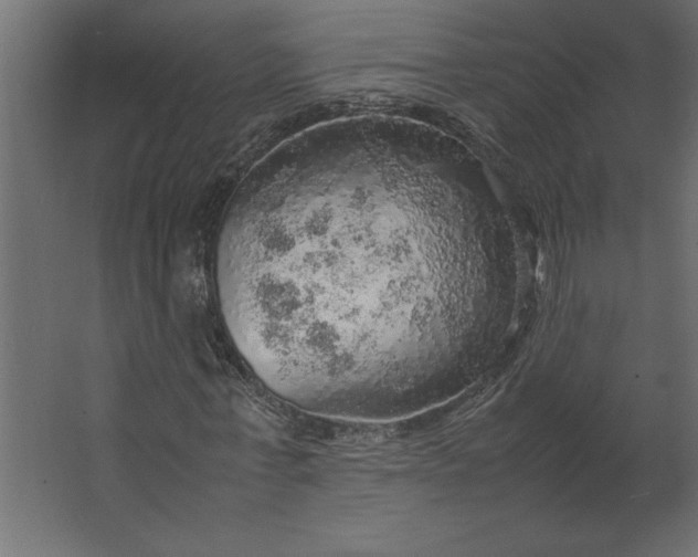 X0000067480771200604211632