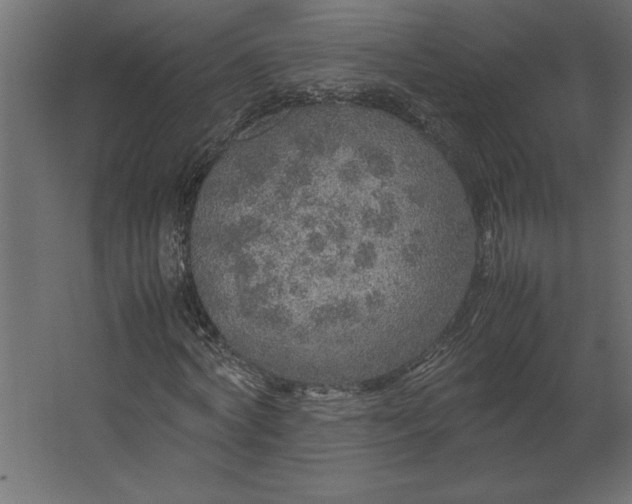 X0000067480772200604211632