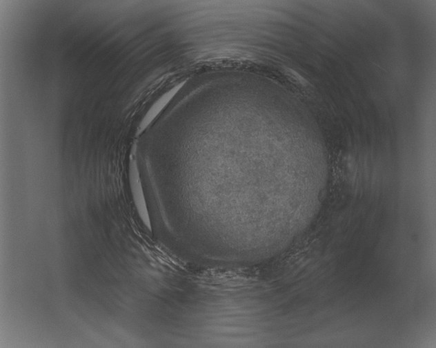 X0000067480774200604211632