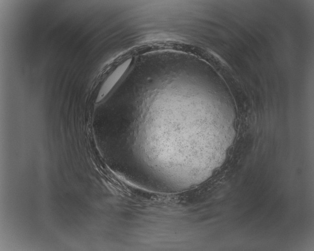 X0000067480775200604211632