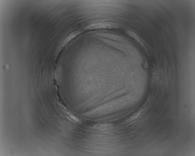 X0000067480778200604211632