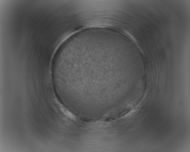 X0000067480779200604211632