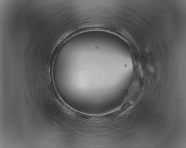 X0000067480781200604211632