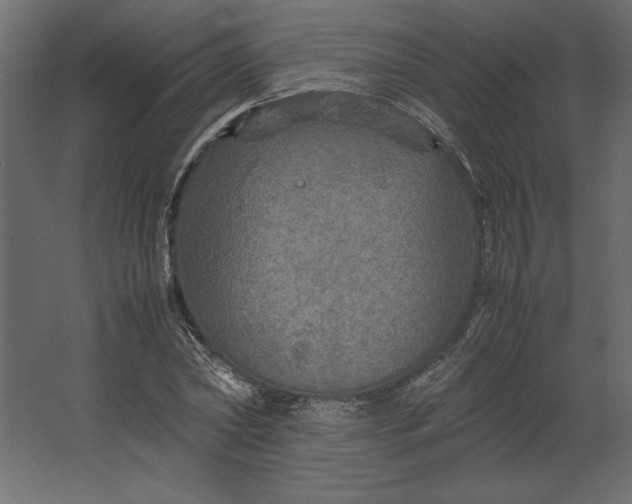 X0000067480782200604211632