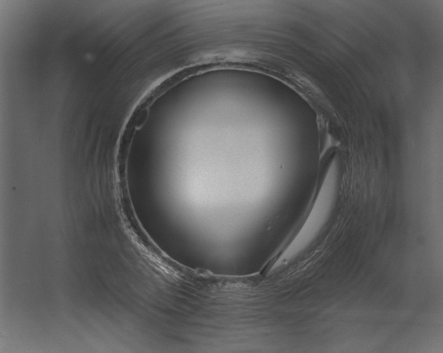 X0000067480784200604211632