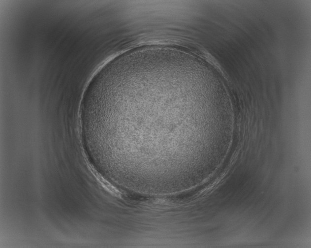 X0000067480787200604211632