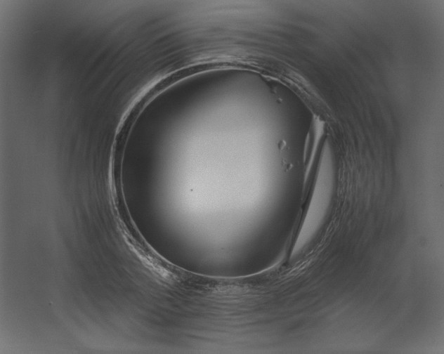 X0000067480788200604211632