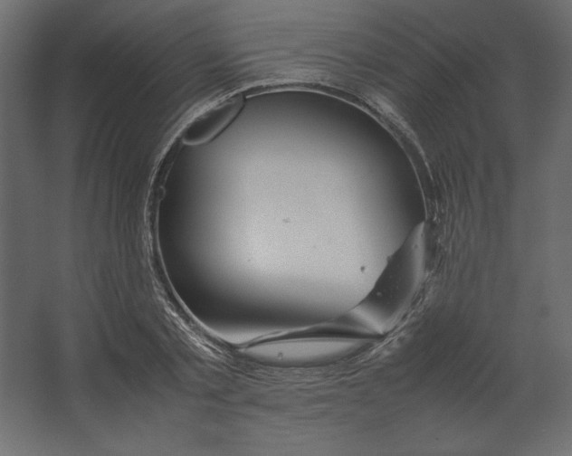 X0000067480789200604211632