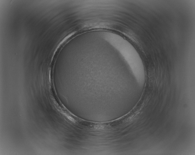 X0000067480790200604211632