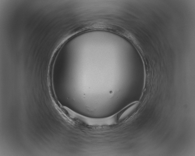 X0000067480795200604211632