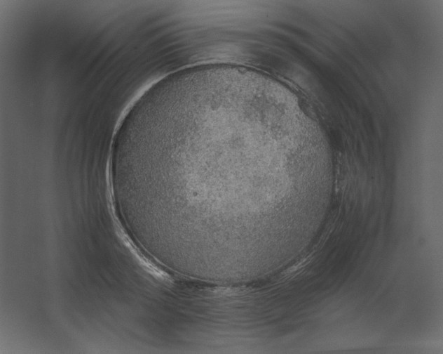 X0000067480796200604211632