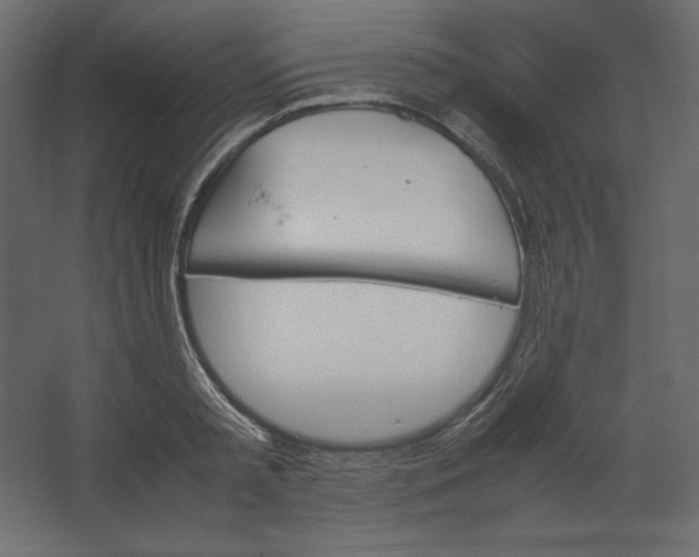 X0000067480797200604211632