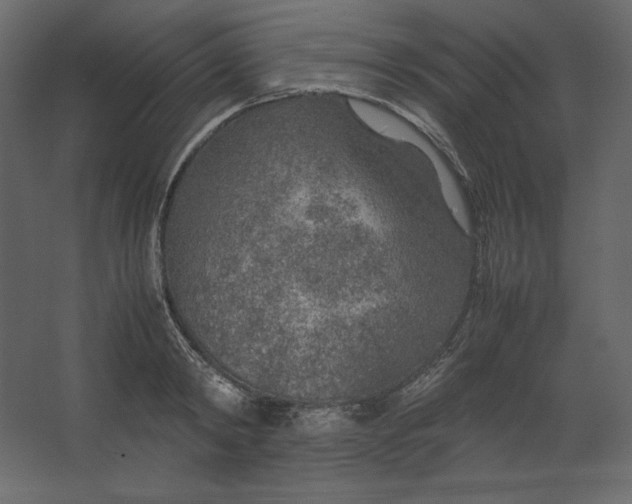 X0000067480798200604211632