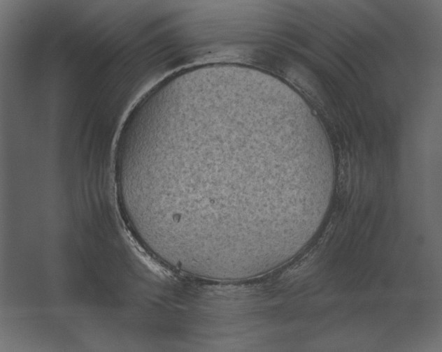 X0000067480800200604211631