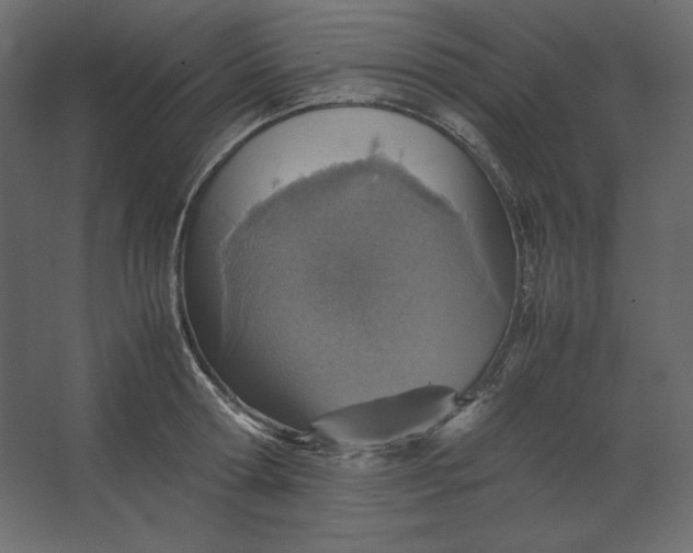 X0000067480802200604211631