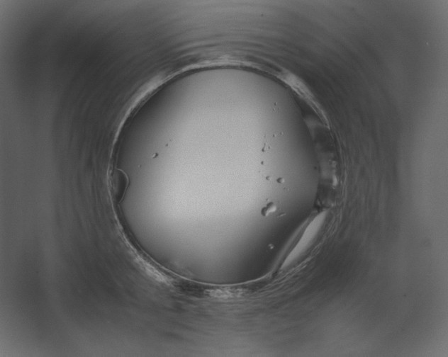 X0000067480805200604211631