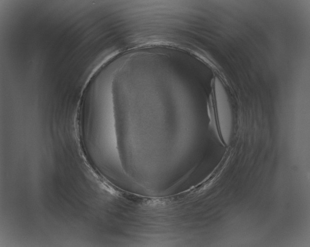 X0000067480806200604211631