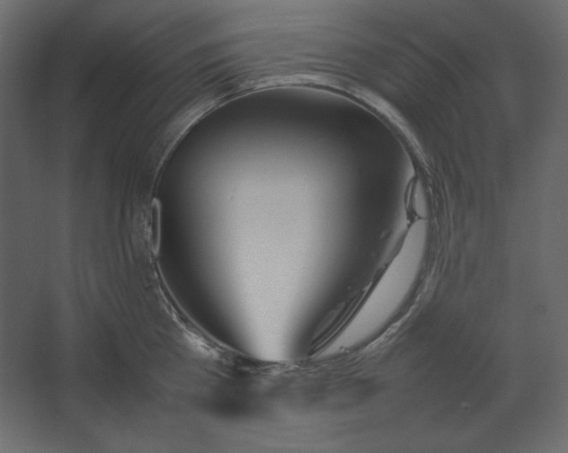 X0000067480809200604211631