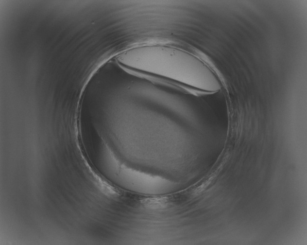 X0000067480810200604211631