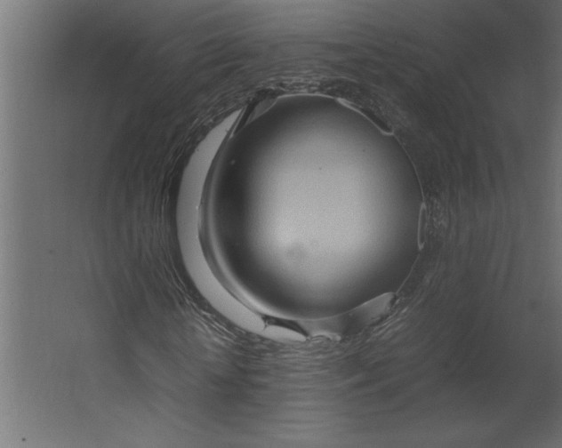 X0000067480818200604211630