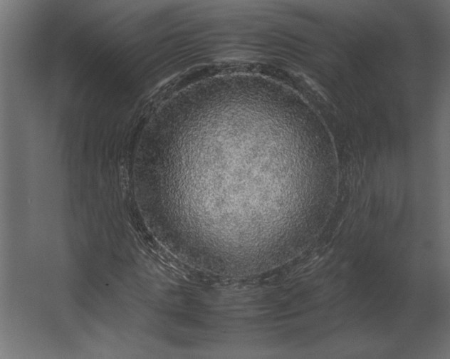 X0000067480821200604211630