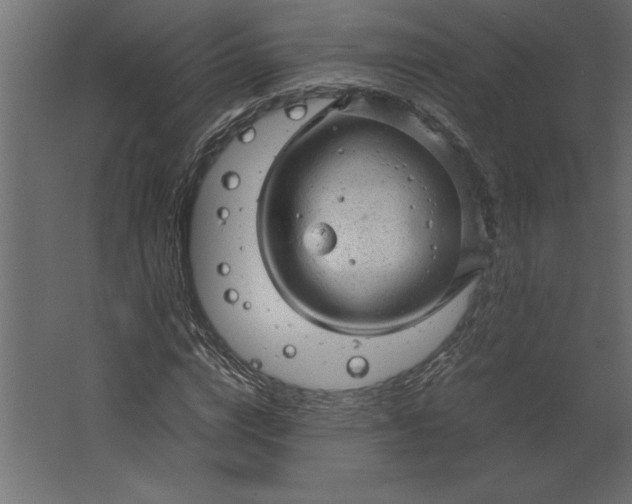 X0000067480824200604211631