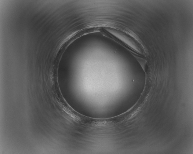 X0000067480826200604211631