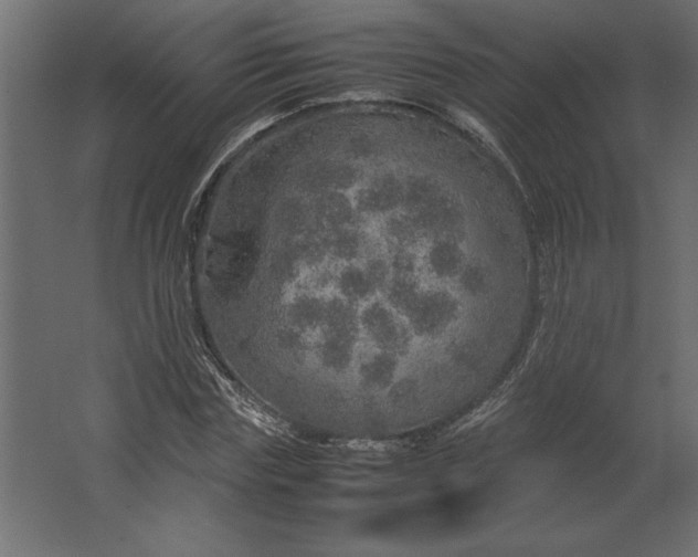 X0000067480827200604211631