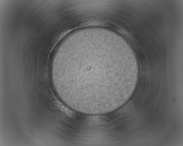 X0000067480828200604211631