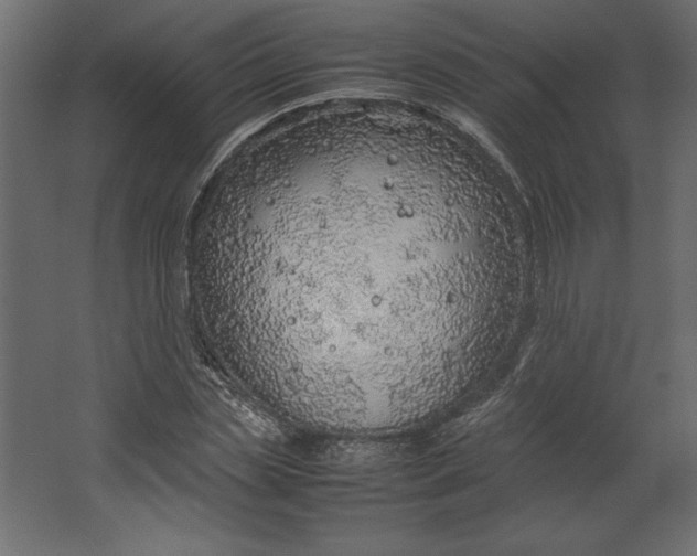 X0000067480829200604211631