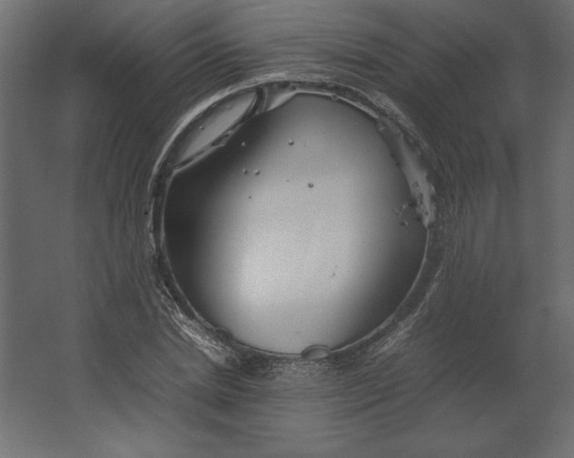 X0000067480830200604211631