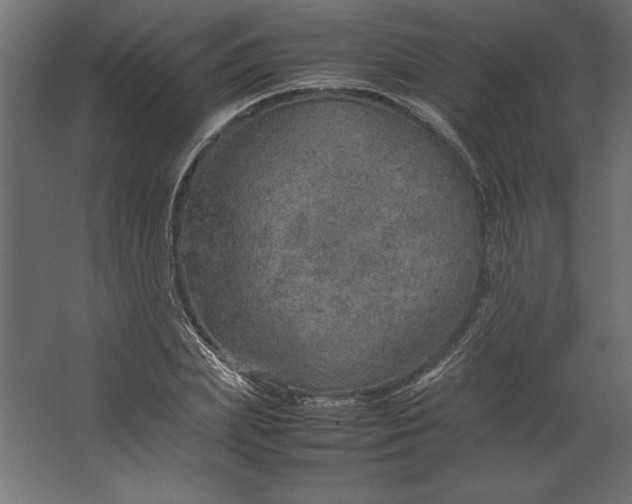 X0000067480831200604211631