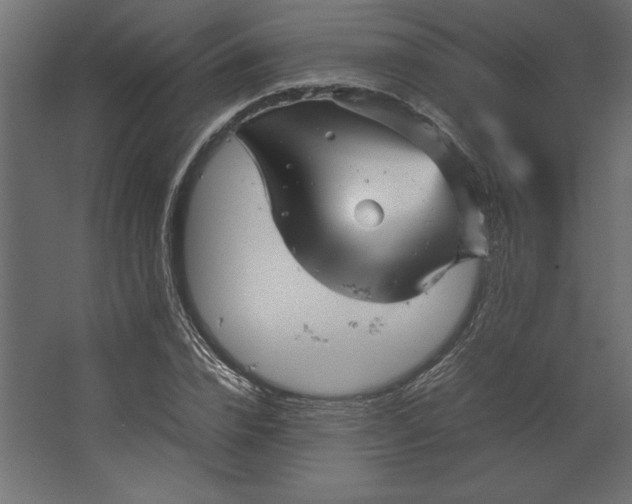 X0000067480832200604211631