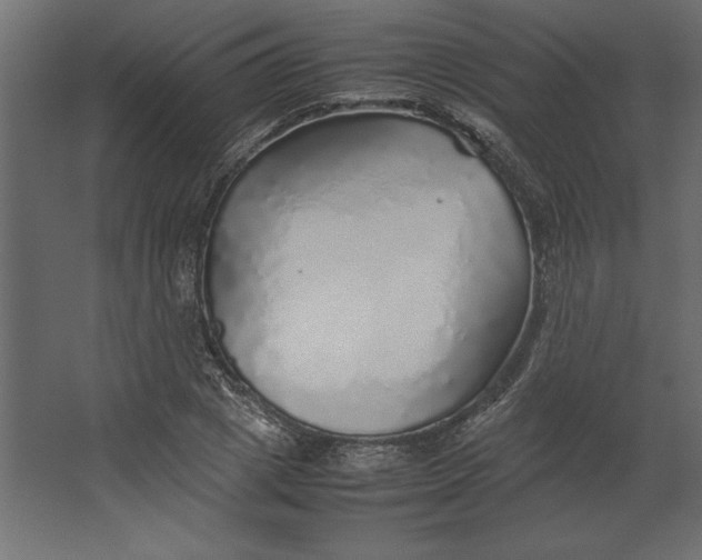 X0000067480833200604211631