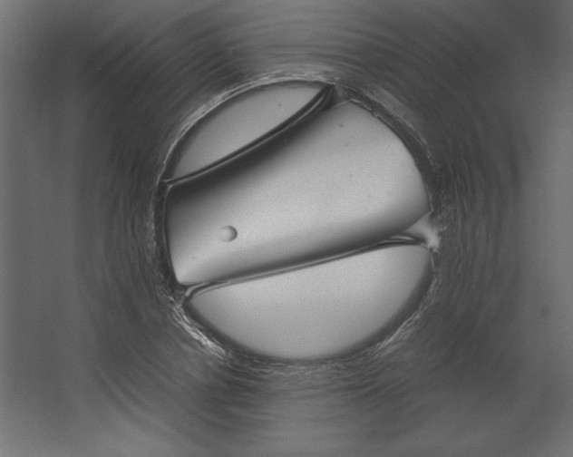 X0000067480834200604211631