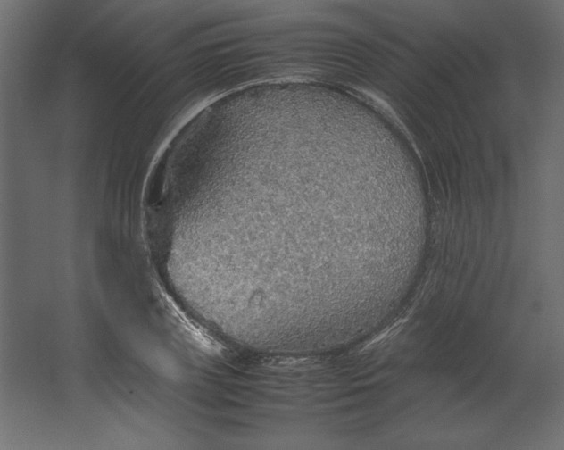 X0000067480835200604211631