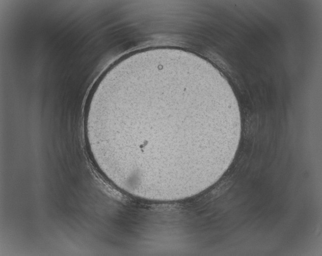 X0000067480836200604211631